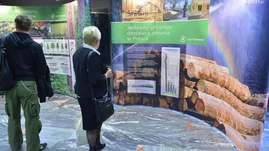 Lasy Państwowe zapraszają na wystawę