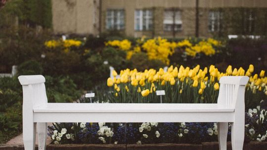 Ławka z oparciem czy bez oparcia - jaka lepiej sprawdzi się w przestrzeni miejskiej?