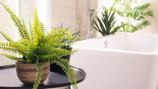 Łazienka w stylu naturalnym, czyli jaka?