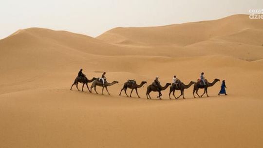 Letnie afrykańskie klimaty  - Egipt