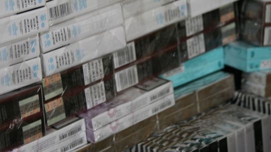 "Lewe" papierosy w rękach policji