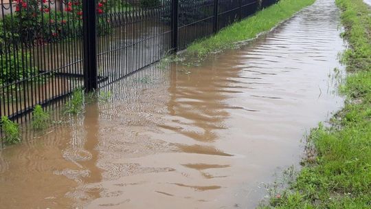 Liczne podtopienia w gminie Jastrzębia 