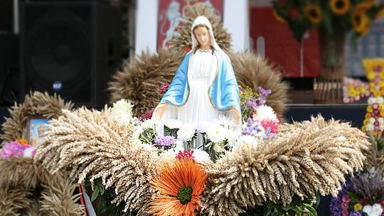 Lipsko. Dożynki powiatowe w najbliższą niedzielę