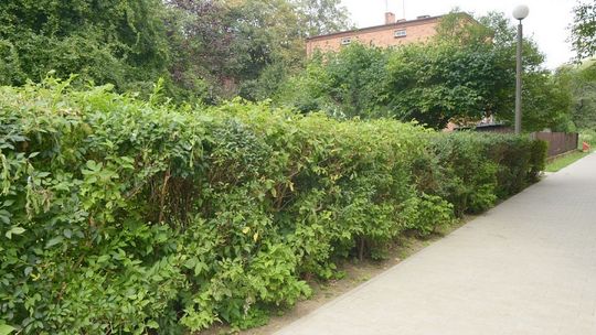 Lokatorzy wściekli na SM "Nasz Dom"