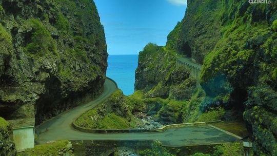 Madera - zielone serce Europy