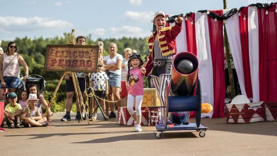Magiczne Ogrody atrakcji i piwonii