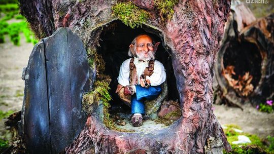 Magiczne Ogrody - Turniej Purpurowej Róży! Magiczne Ogrody - Turniej Purpurowej Róży!