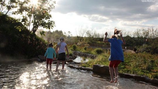 Magiczne Ogrody - WYNIKI Z CZWARTKU