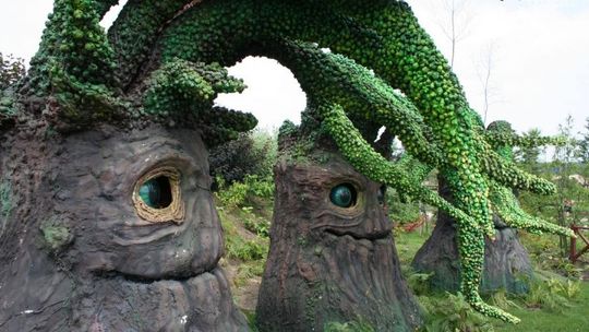 Magiczne Ogrody - WYNIKI Z CZWARTKU