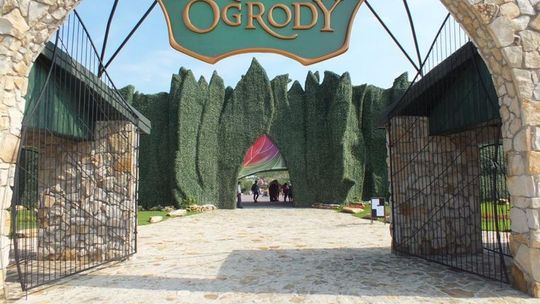 Magiczne Ogrody - WYNIKI Z ŚRODY