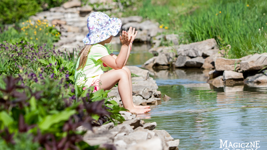 Magiczne Ogrody zmysłów
