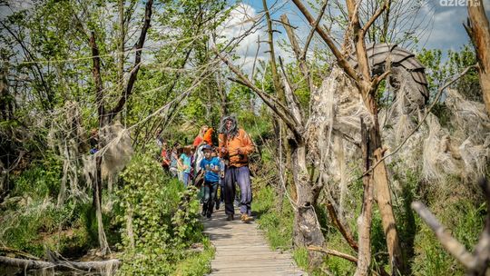 "Magicznie z duchami" w Magicznych Ogrodach
