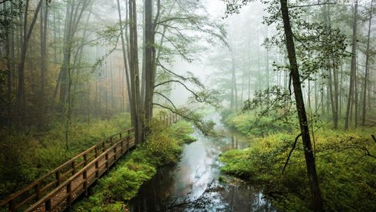 Majówka na Mazowszu