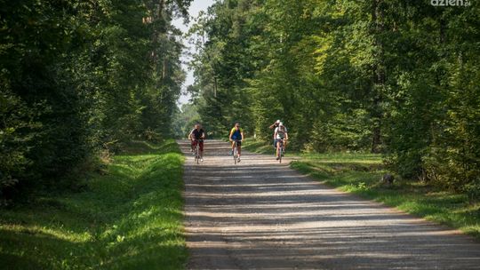 Majówka w lesie. TOP 5 miejsc na leśny wypoczynek 30 kilometrów od Radomia