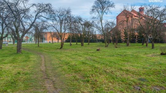 Mały park na Gołębiowie?