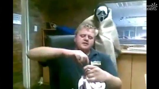 Mały żarcik w pracy