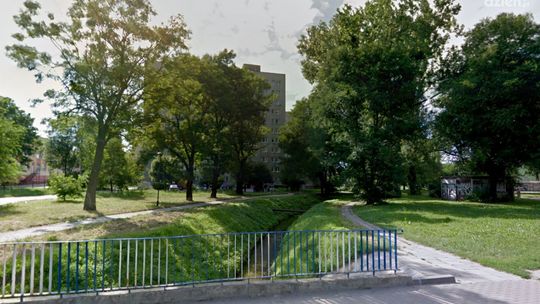 Mamy nowe pomniki przyrody