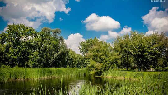 Mapa zielonych potrzeb Radomia działa. Można zgłaszać pomysły