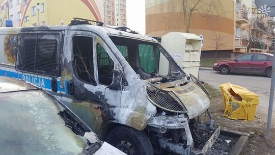 Materiał TV Dami w TVN24. Zobacz koniecznie 