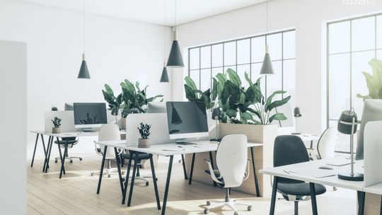 Meble biurowe – metalowe czy drewniane? Podpowiadamy!