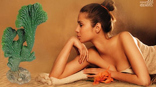 MEKSYKAŃSKA FIESTA dla duszy i ciała w Smart Relax Spa Hotel Aviator