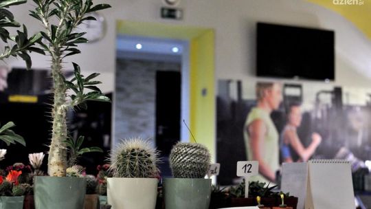 Meksykańska uczta w Smart Relax Spa Hotel Aviator