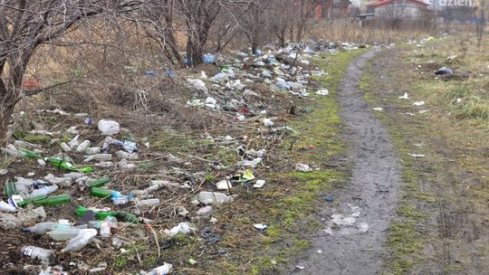 Miała być ulica, jest śmietnik