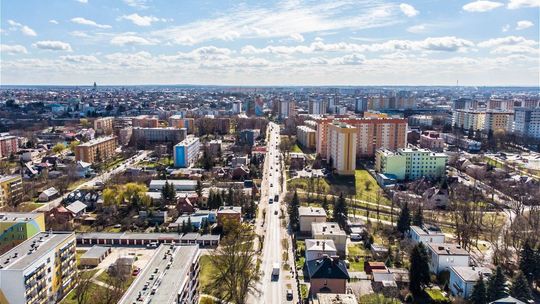 Miasto ukrytych czempionów