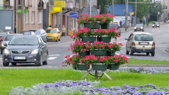 Miasto wydało ponad 50 tys. zł. Zarobiła firma radnego