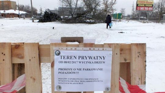 Michałów. Wycięli drzewa przy rondzie