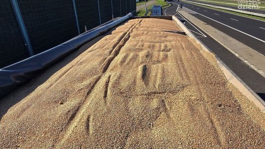 Międzynarodowy transport zatrzymany koło Grójca