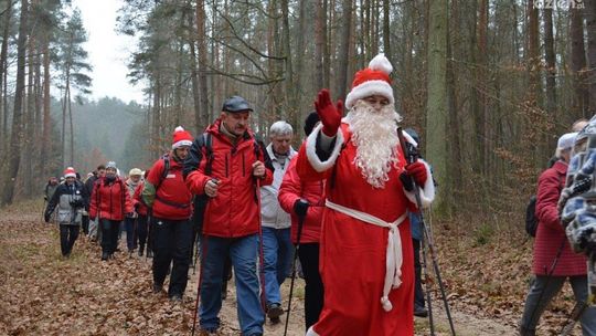 Mikołajkowy nordic walking przez puszczę