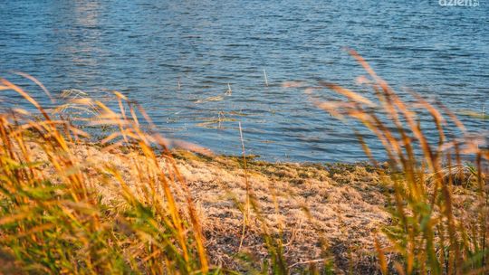 Milejowice. Mężczyzna utonął w stawie 