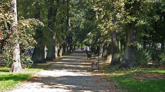 Miliony na radomskie parki