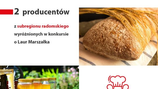 Miód spadziowy z Laurem Marszałka