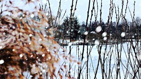 Młodzież współtworzy wizerunek gminy Skaryszew