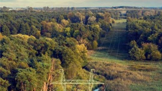 Modernizacja linii 220 kV Puławy-Rożki 