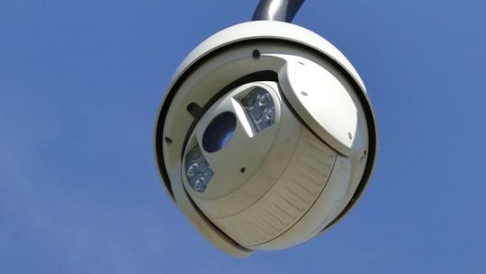 Monitoring w radomskich parkach