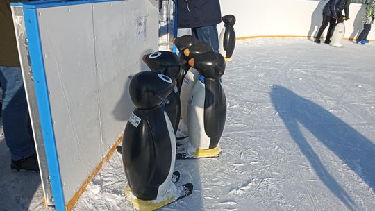 Lodowisko na Borkach w Radomiu