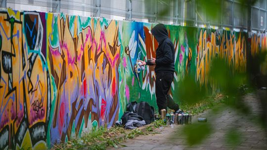 Mural powstanie na oczach mieszkańców. Street art w Parku Leśniczówka