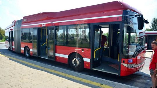 Mylący autobus linii nr7...