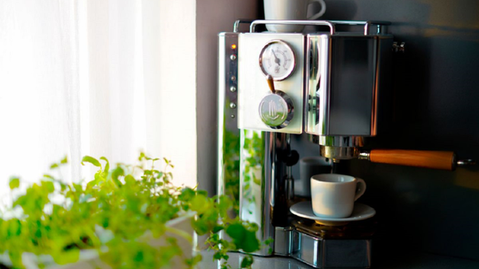 Na co zwrócić uwagę wybierając zaparzacz do kawy