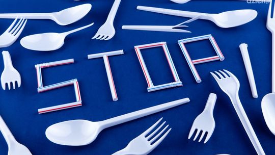 Na czym polega recykling plastiku?