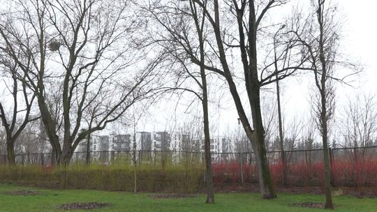 Na dawnym Starcie nie powstaną na razie nowe bloki