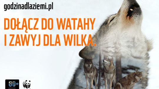 Na godzinę zgasną światła