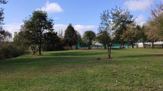 Na Południu powstanie wybieg dla psów