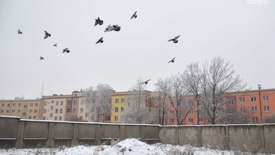 Na tyłach ulicy Żeromskiego ma powstać nowy trakt!