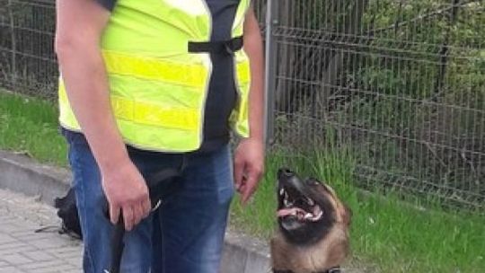 Nadit odnalazł zaginionego mężczyznę