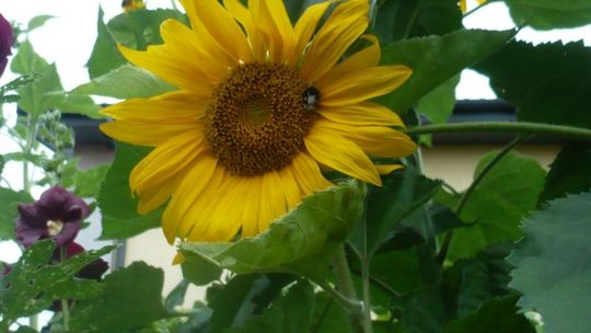 Najlepsze agencje w mieście