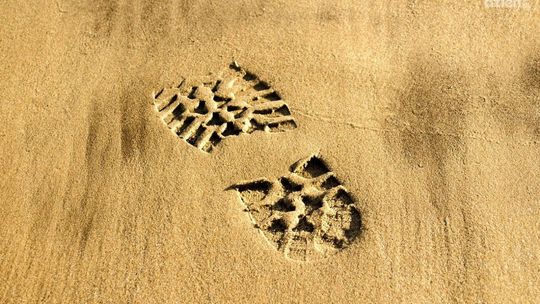 Najlepsze sandały robocze na lato – jakie wybrać?